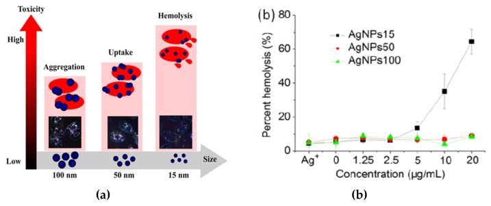 Figure 22