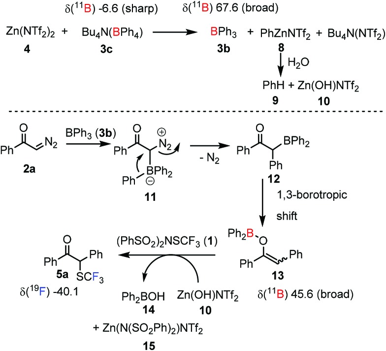 Scheme 3