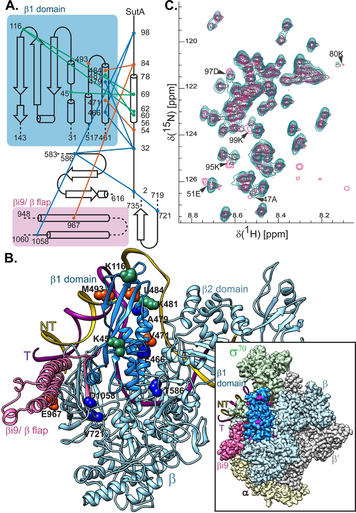 Figure 2.