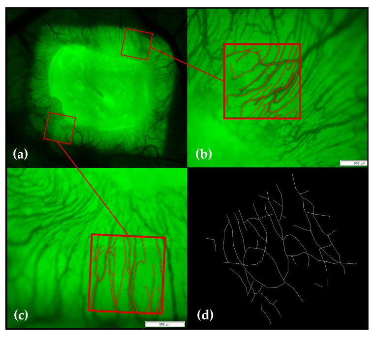 Figure 15