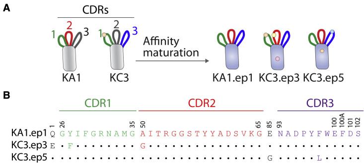 Figure 2