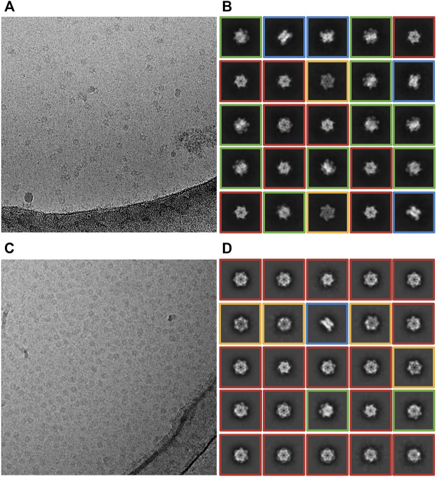 FIGURE 2