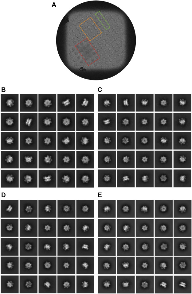 FIGURE 6