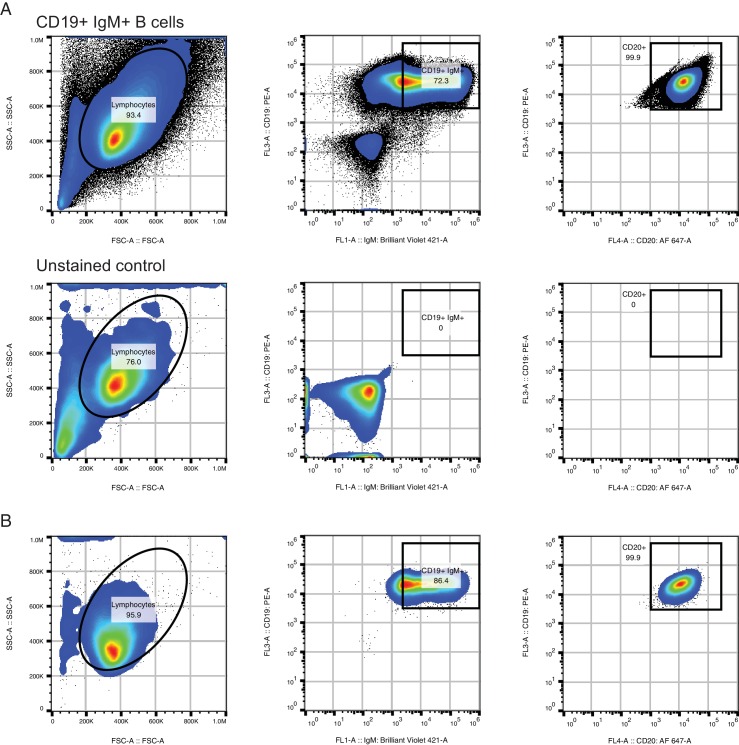 Figure 4—figure supplement 1.