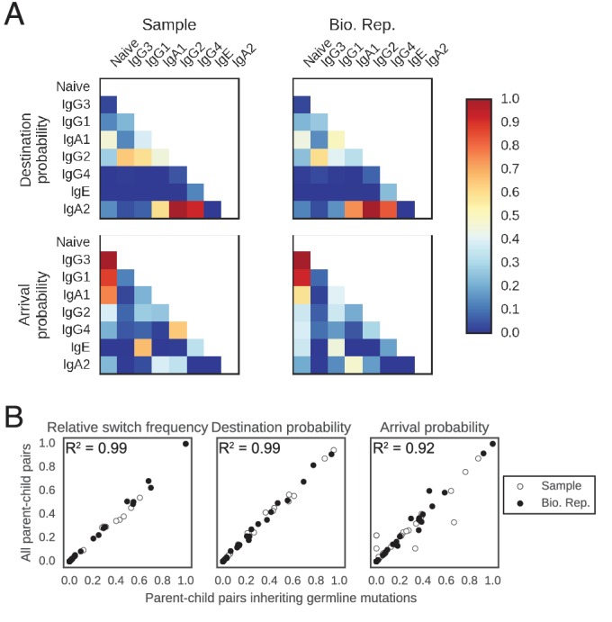 Figure 2—figure supplement 2.