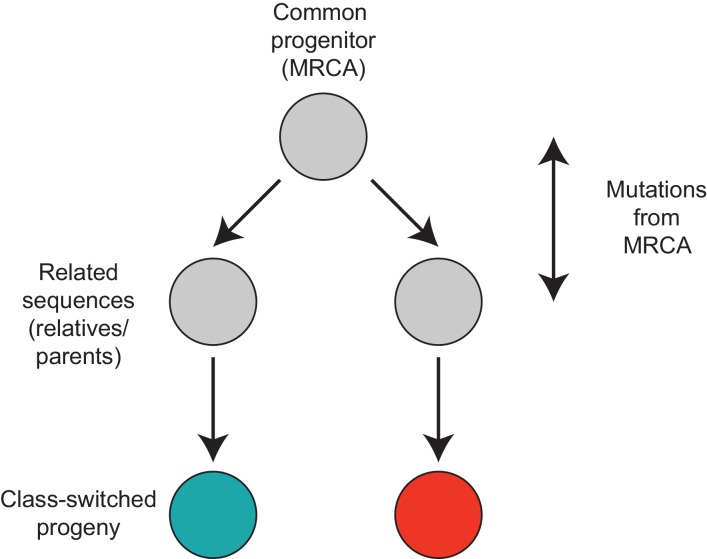 Figure 3—figure supplement 1.