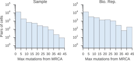 Figure 3—figure supplement 2.