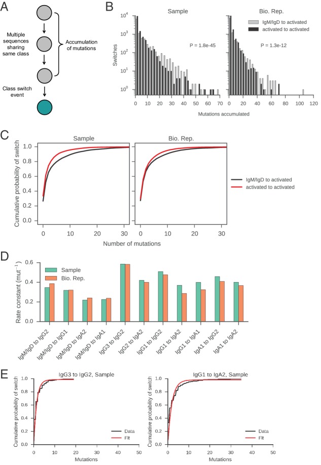 Figure 2—figure supplement 11.