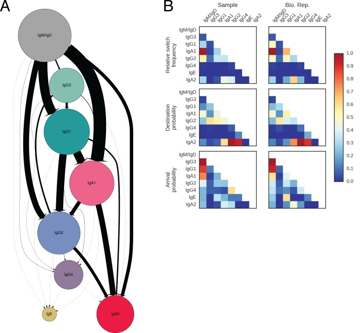 Figure 2—figure supplement 8.