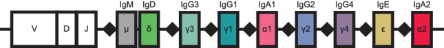 Figure 1—figure supplement 3.