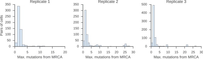 Figure 4—figure supplement 2.