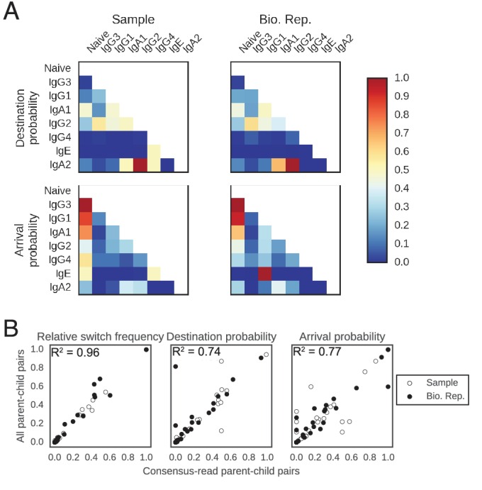 Figure 2—figure supplement 3.