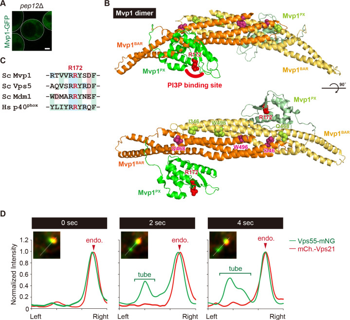 Figure 2—figure supplement 1.