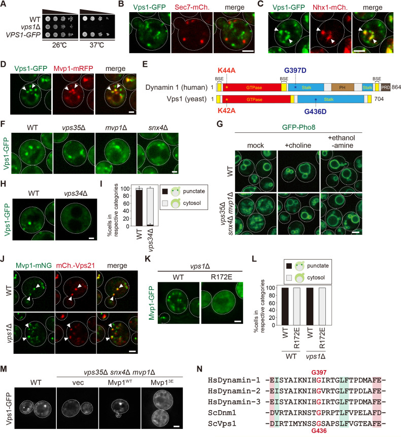 Figure 4—figure supplement 1.