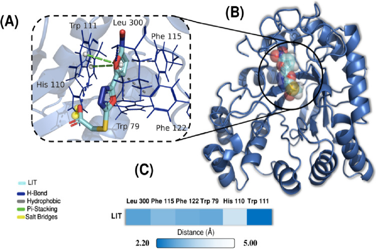 Fig. 3