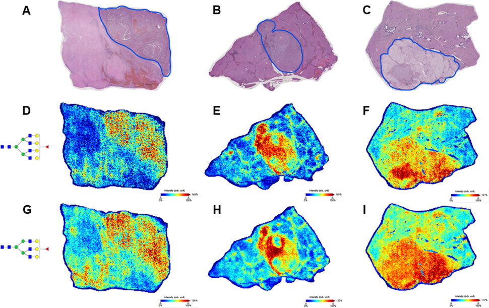 Figure 3: