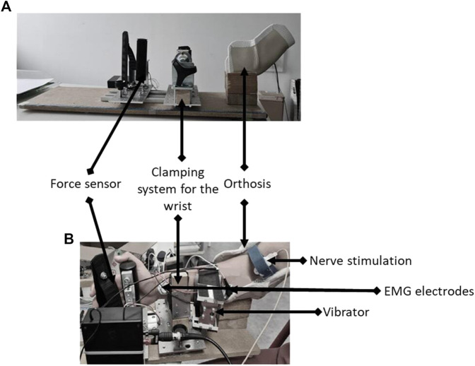 FIGURE 2