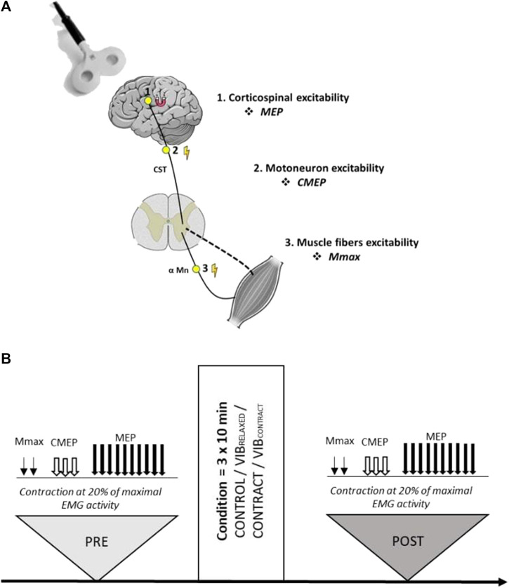 FIGURE 1