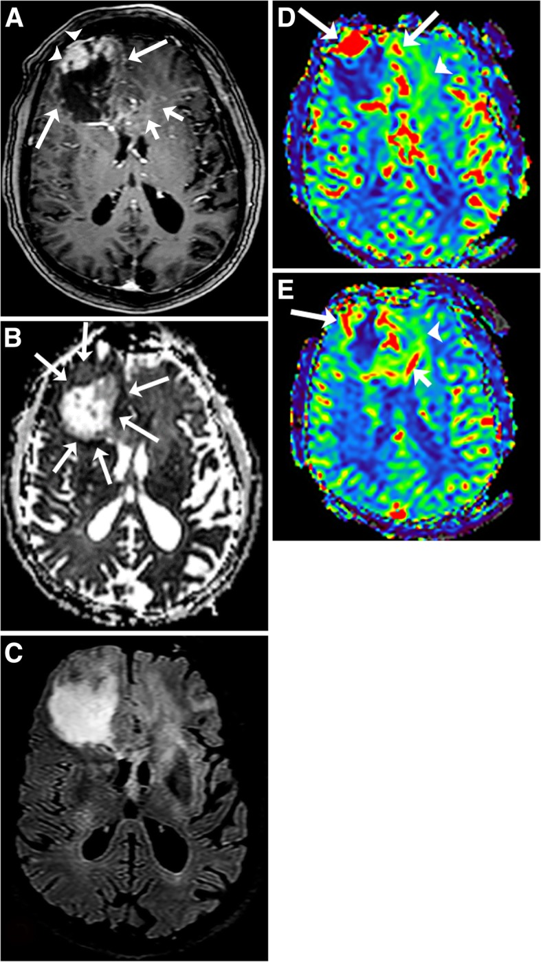 Fig. 8