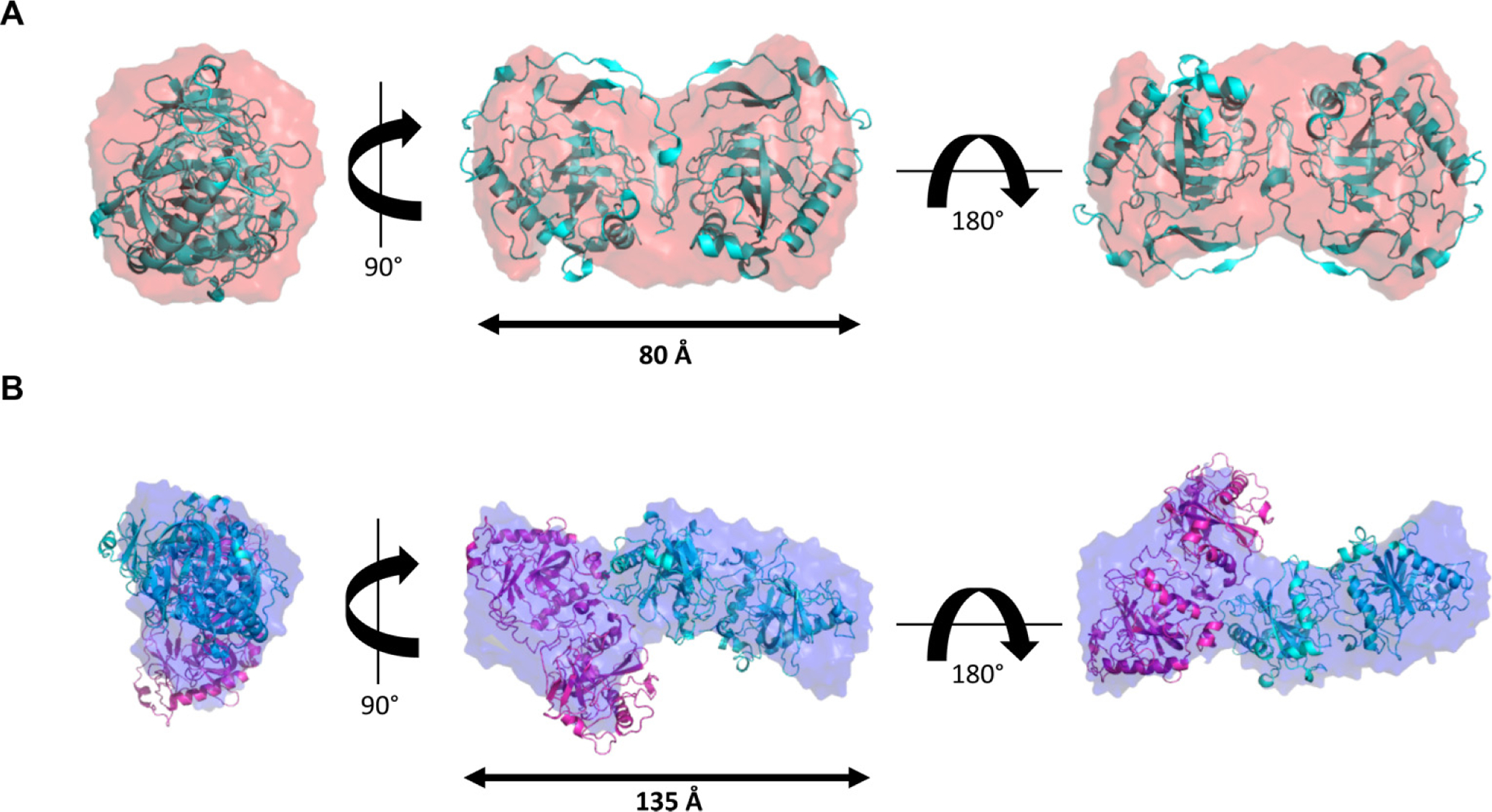 Fig. 6.