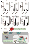 Fig.6