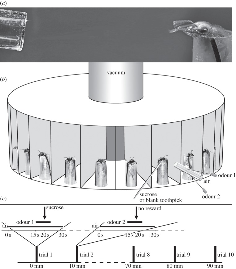 Figure 1.