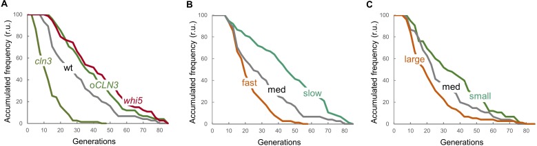 Figure 4—figure supplement 3.