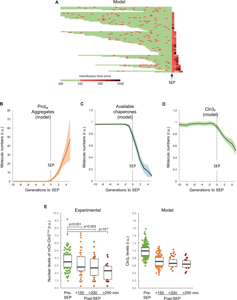 Figure 4—figure supplement 2.