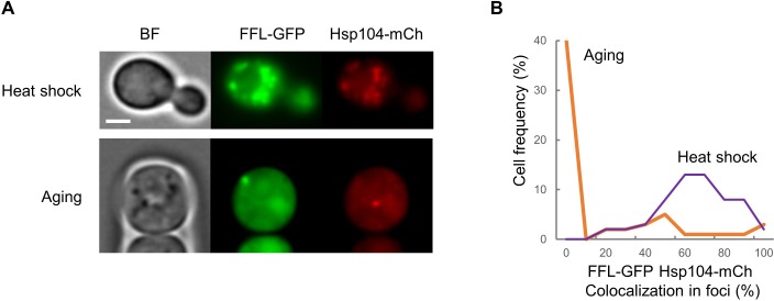 Figure 3—figure supplement 1.