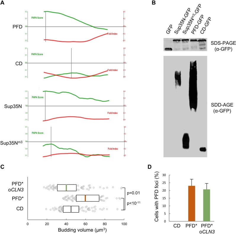 Figure 6—figure supplement 1.