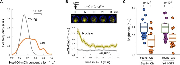 Figure 2—figure supplement 1.