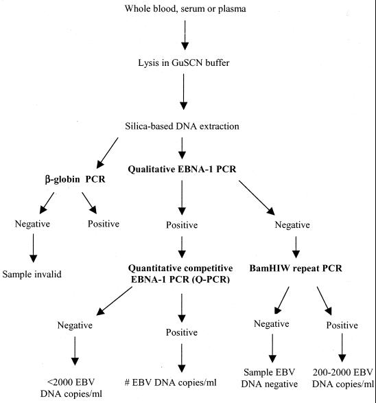 FIG. 1