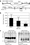 <b>Figure 2</b>