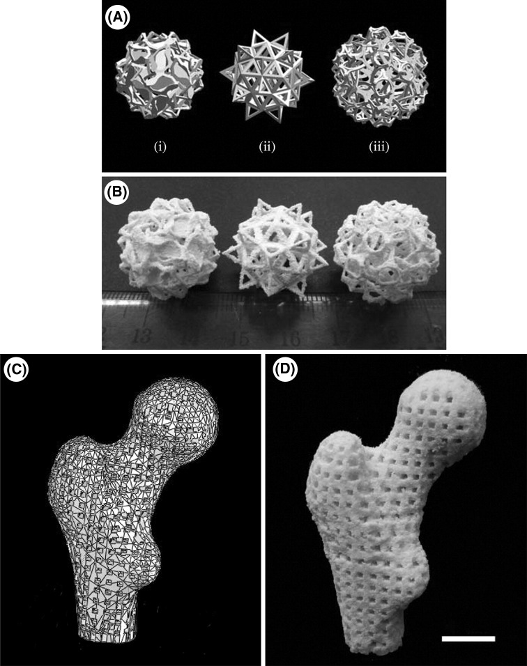 Fig. 7