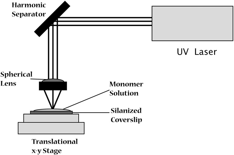 Fig. 1