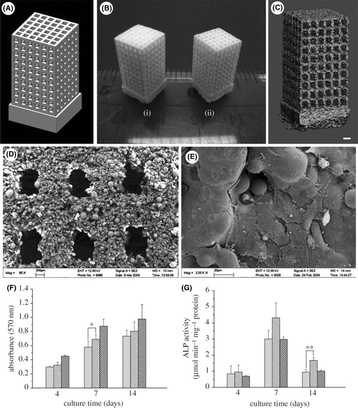 Fig. 8