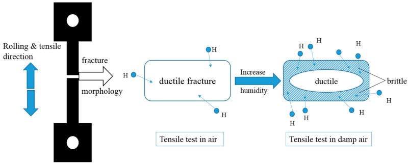 Figure 8