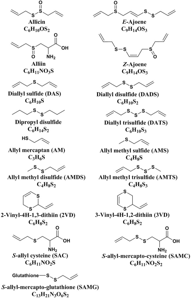 FIGURE 3