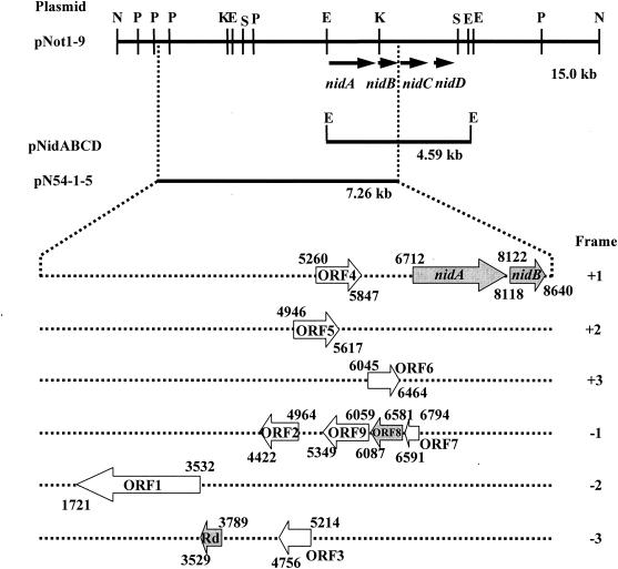 FIG. 2.