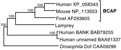 Fig 2.