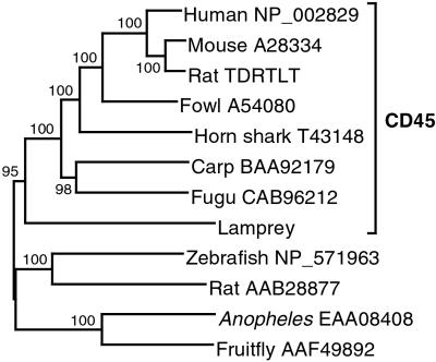 Fig 1.