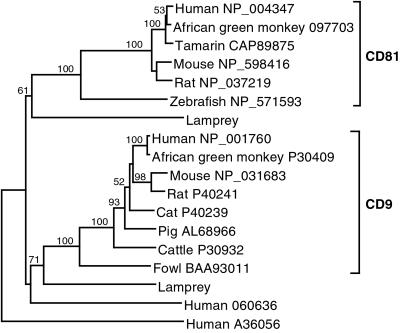 Fig 4.