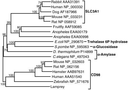 Fig 5.