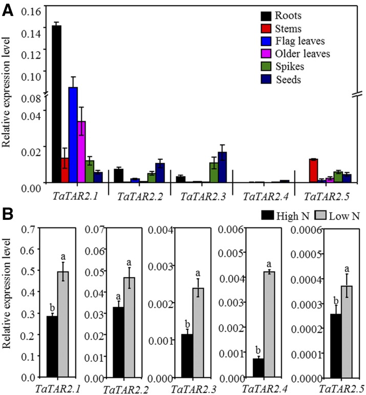 Figure 2.