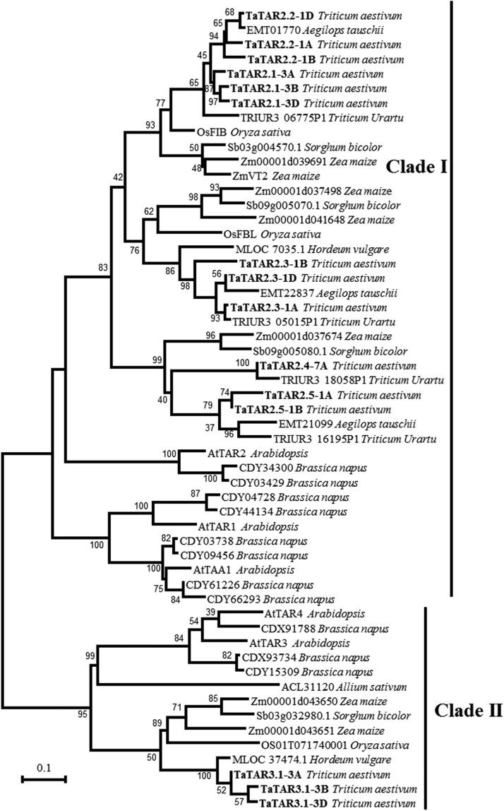 Figure 1.