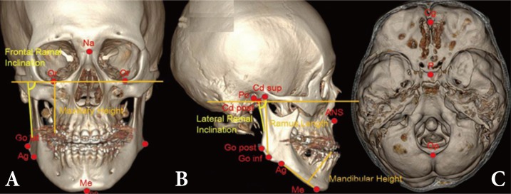 Fig. 7