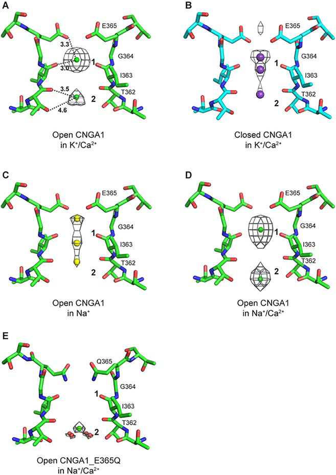 Figure 3.