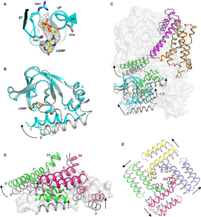 Figure 5.