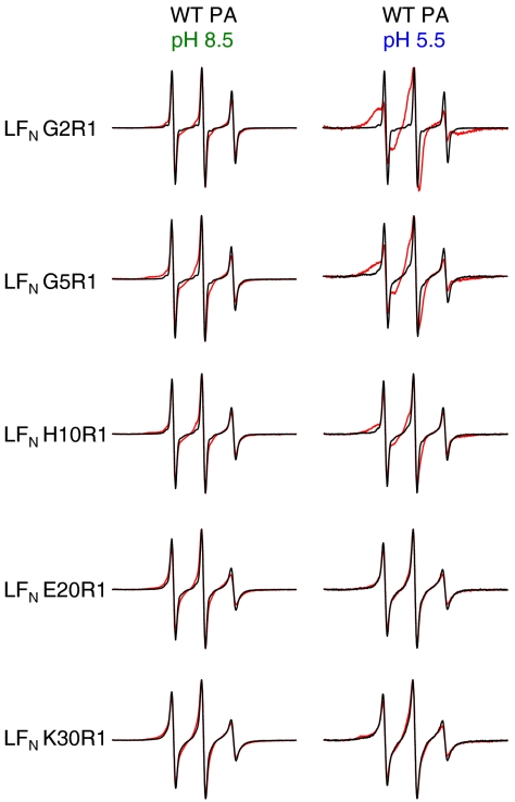 Fig. 2.