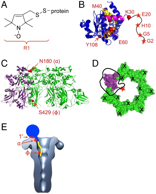 Fig. 1.